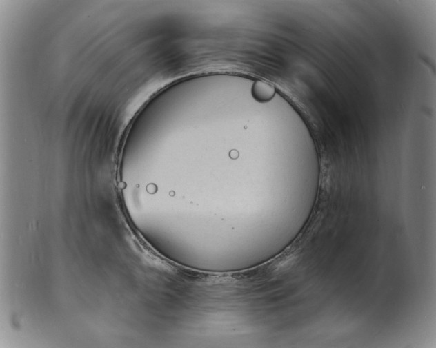 X0000102231094200808081341