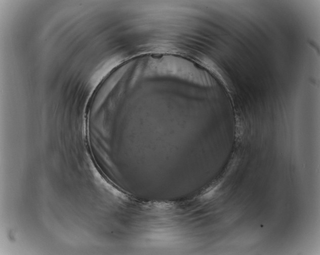 X0000102231095200808081341