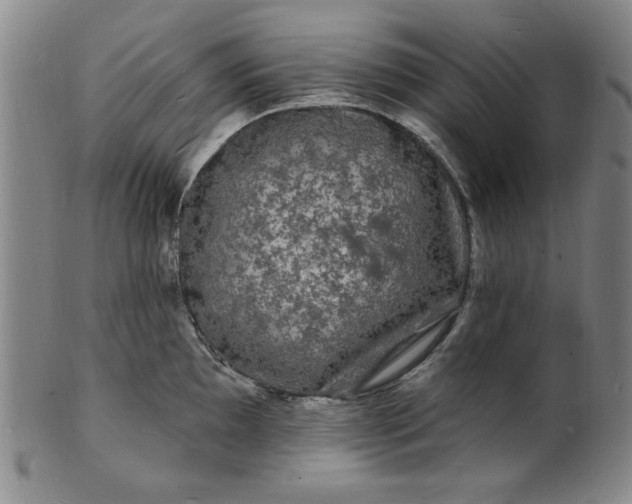 X0000102231097200808081341