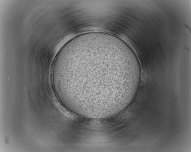 X0000102231098200808081341