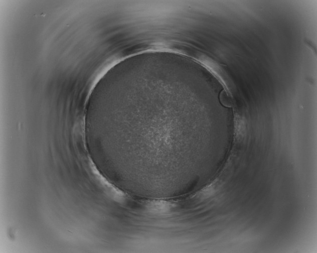 X0000102231100200808081341