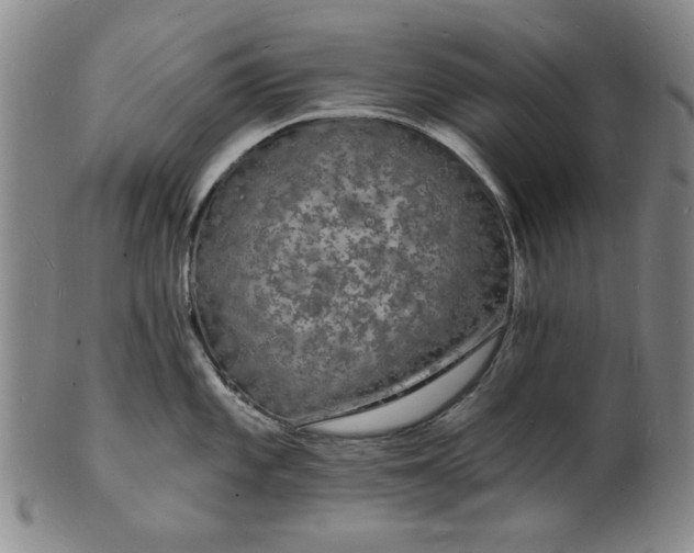 X0000102231101200808081341