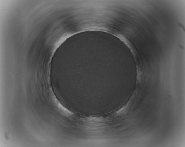 X0000102231102200808081341