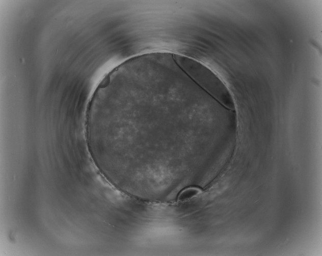 X0000102231104200808081341