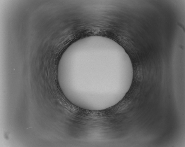 X0000102231105200808081341