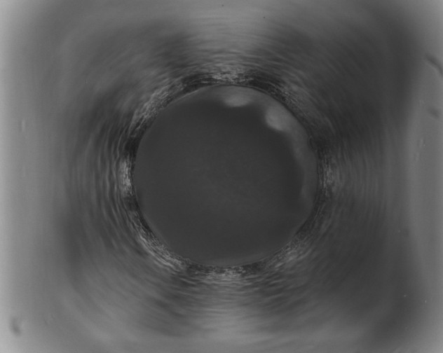 X0000102231106200808081341