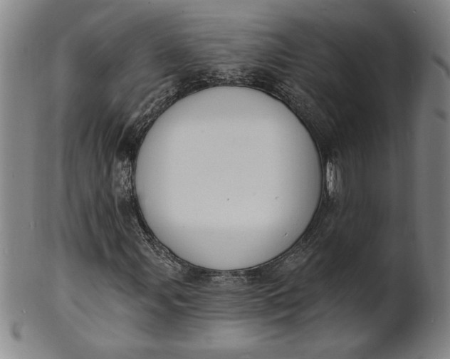 X0000102231107200808081341