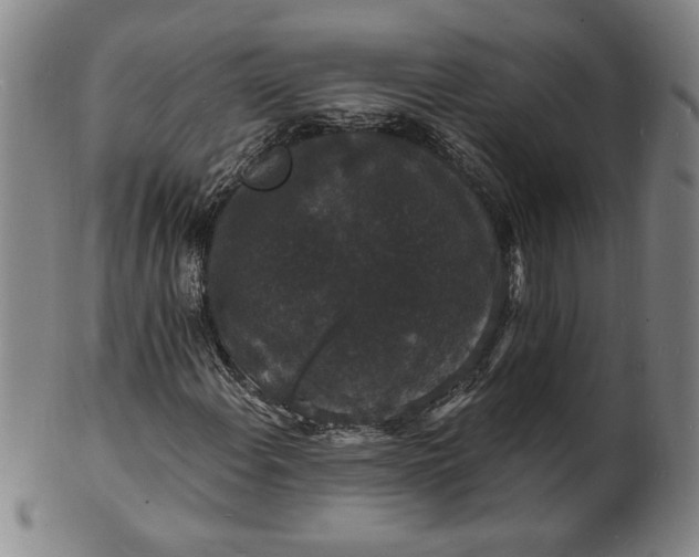 X0000102231108200808081341