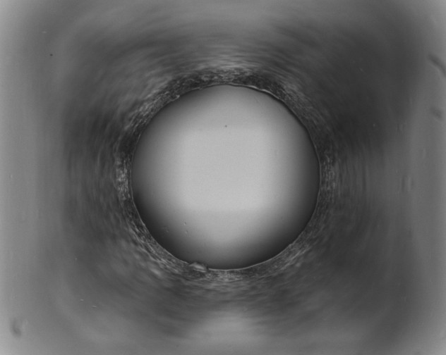 X0000102231109200808081341