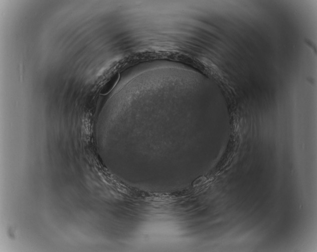 X0000102231110200808081341