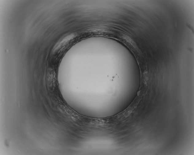 X0000102231111200808081341