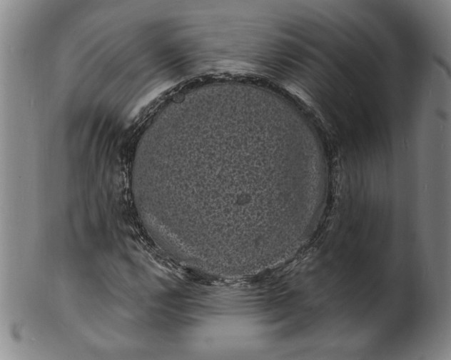 X0000102231112200808081341