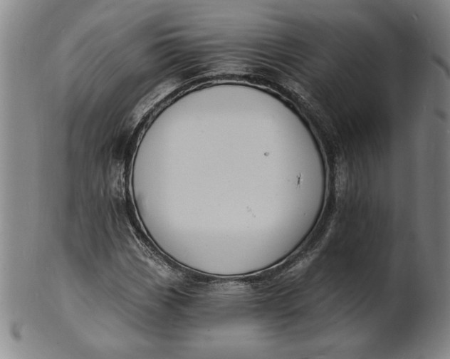 X0000102231113200808081341