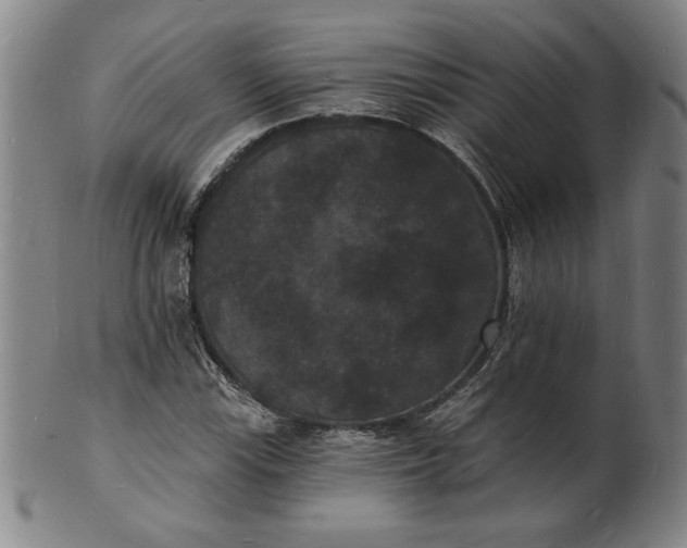 X0000102231115200808081341