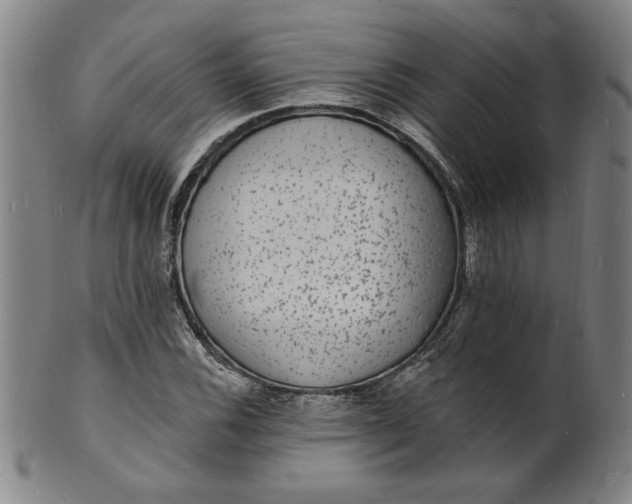 X0000102231116200808081341