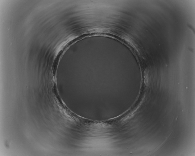 X0000102231117200808081341