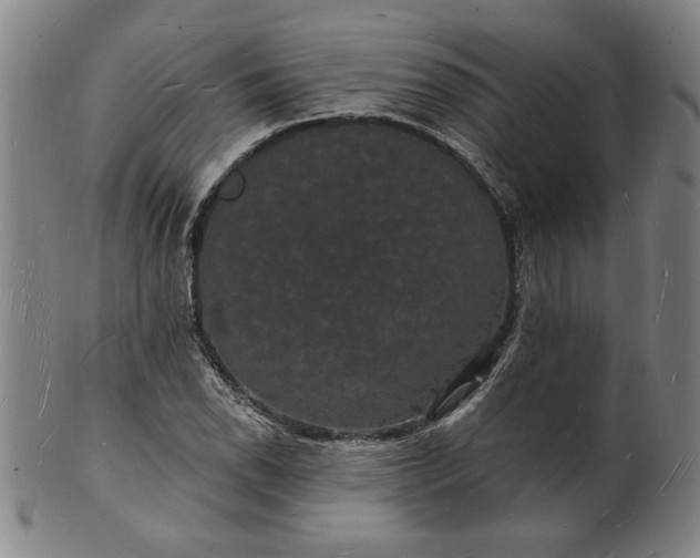 X0000102231118200808081341