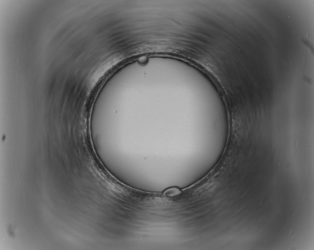 X0000102231119200808081341