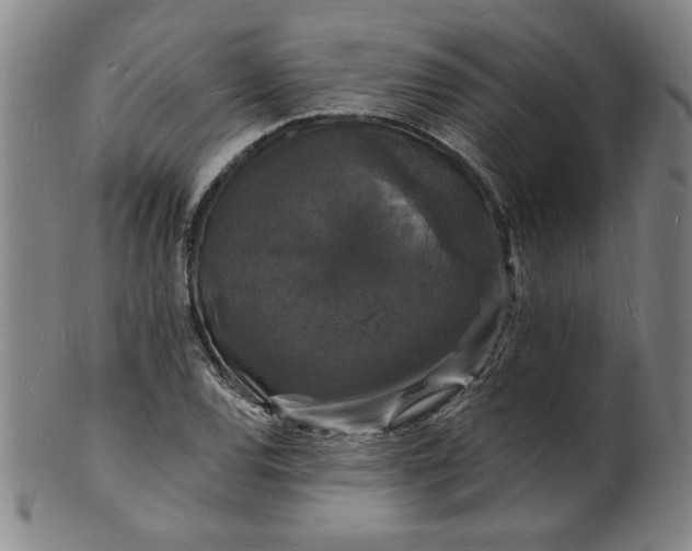 X0000102231120200808081341