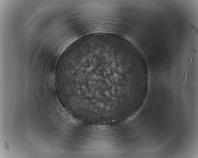 X0000102231121200808081341