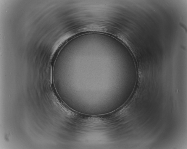 X0000102231123200808081341