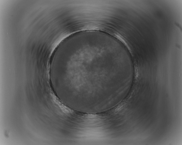 X0000102231124200808081341