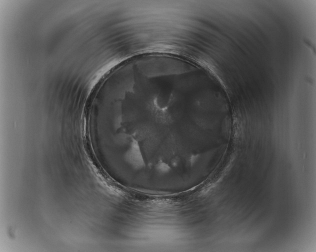 X0000102231125200808081341