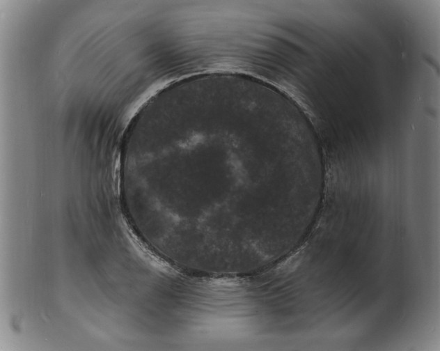 X0000102231126200808081341