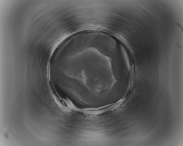 X0000102231128200808081341
