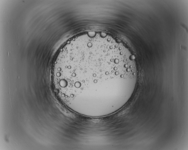 X0000102231130200808081341