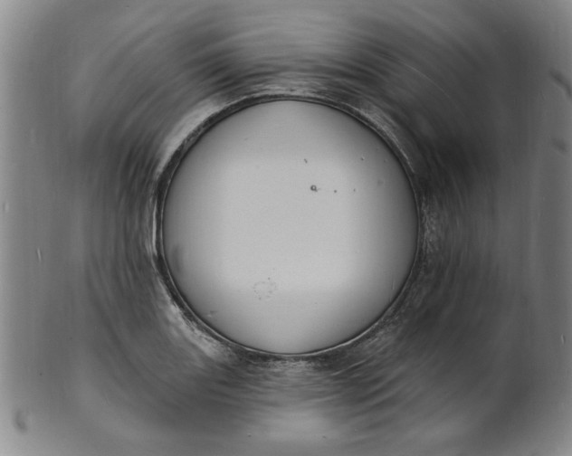 X0000102231131200808081341
