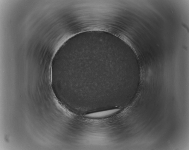 X0000102231132200808081341