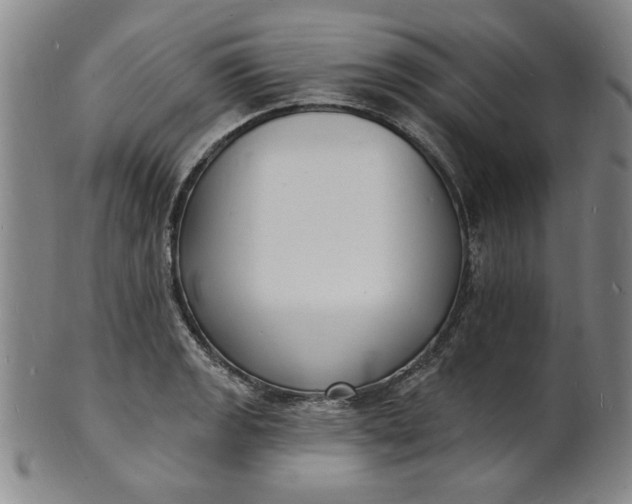 X0000102231133200808081341