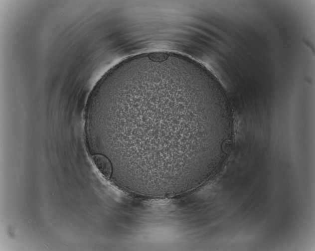 X0000102231134200808081341