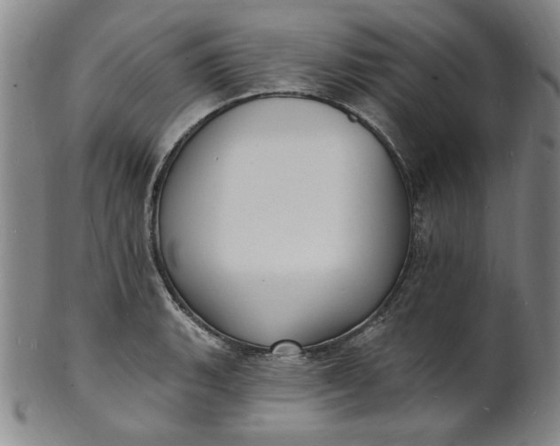 X0000102231135200808081341
