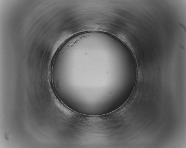 X0000102231136200808081341