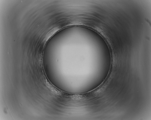 X0000102231137200808081341