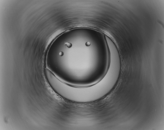 X0000102231138200808081341
