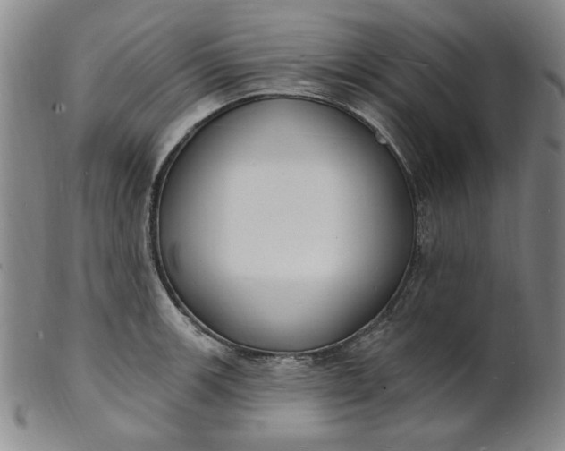 X0000102231139200808081341
