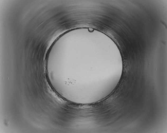 X0000102231140200808081341