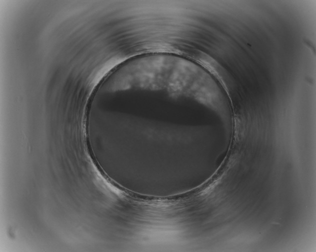 X0000102231141200808081341