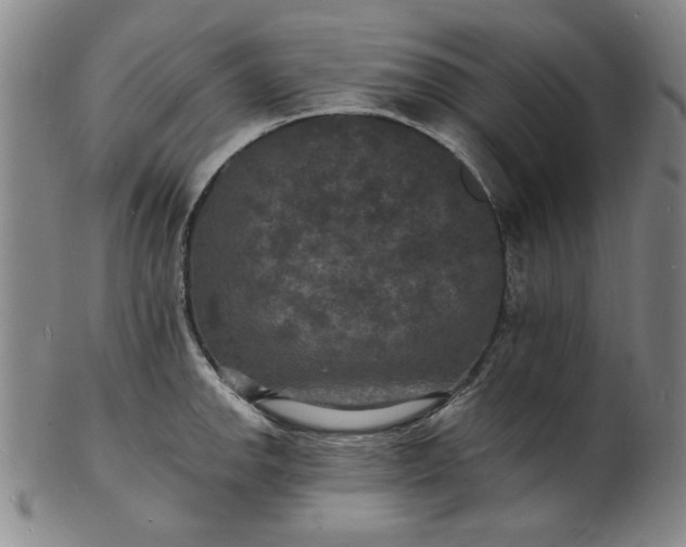 X0000102231142200808081341