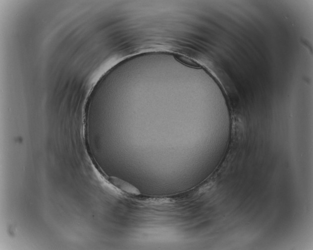 X0000102231143200808081341