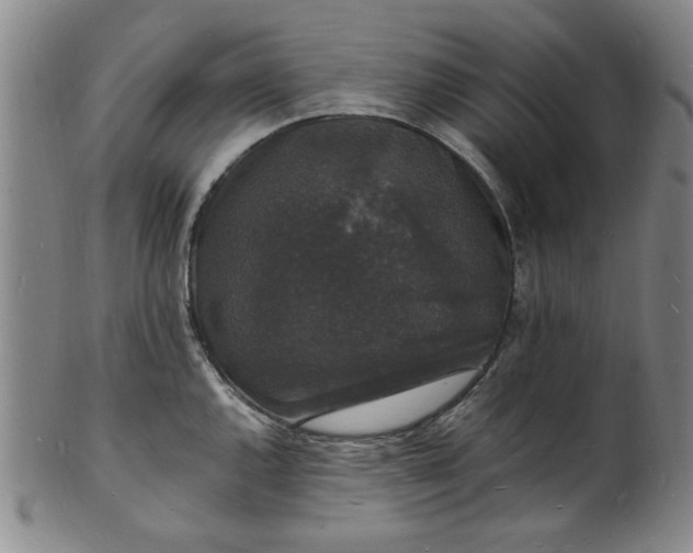 X0000102231144200808081341
