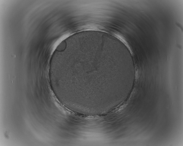 X0000102231146200808081341