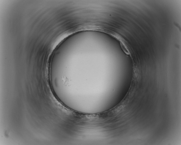 X0000102231147200808081341