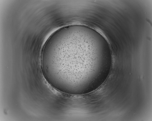 X0000102231148200808081341