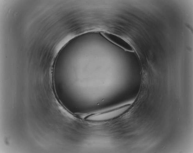 X0000102231151200808081341