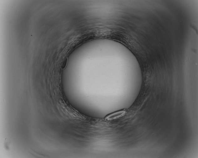 X0000102231153200808081341