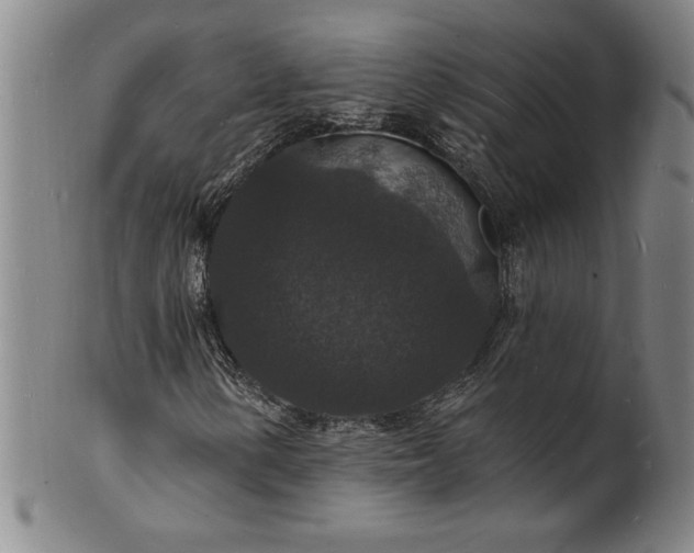 X0000102231154200808081341